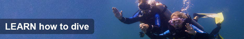 Learn how to Scuba Dive