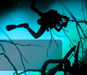 diving cenotes banner